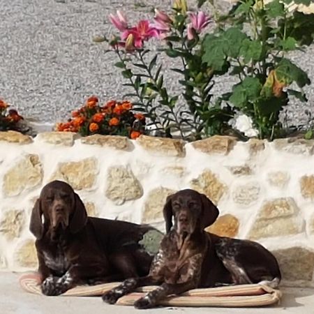 Le clos de Tournes Echinghen Exterior foto