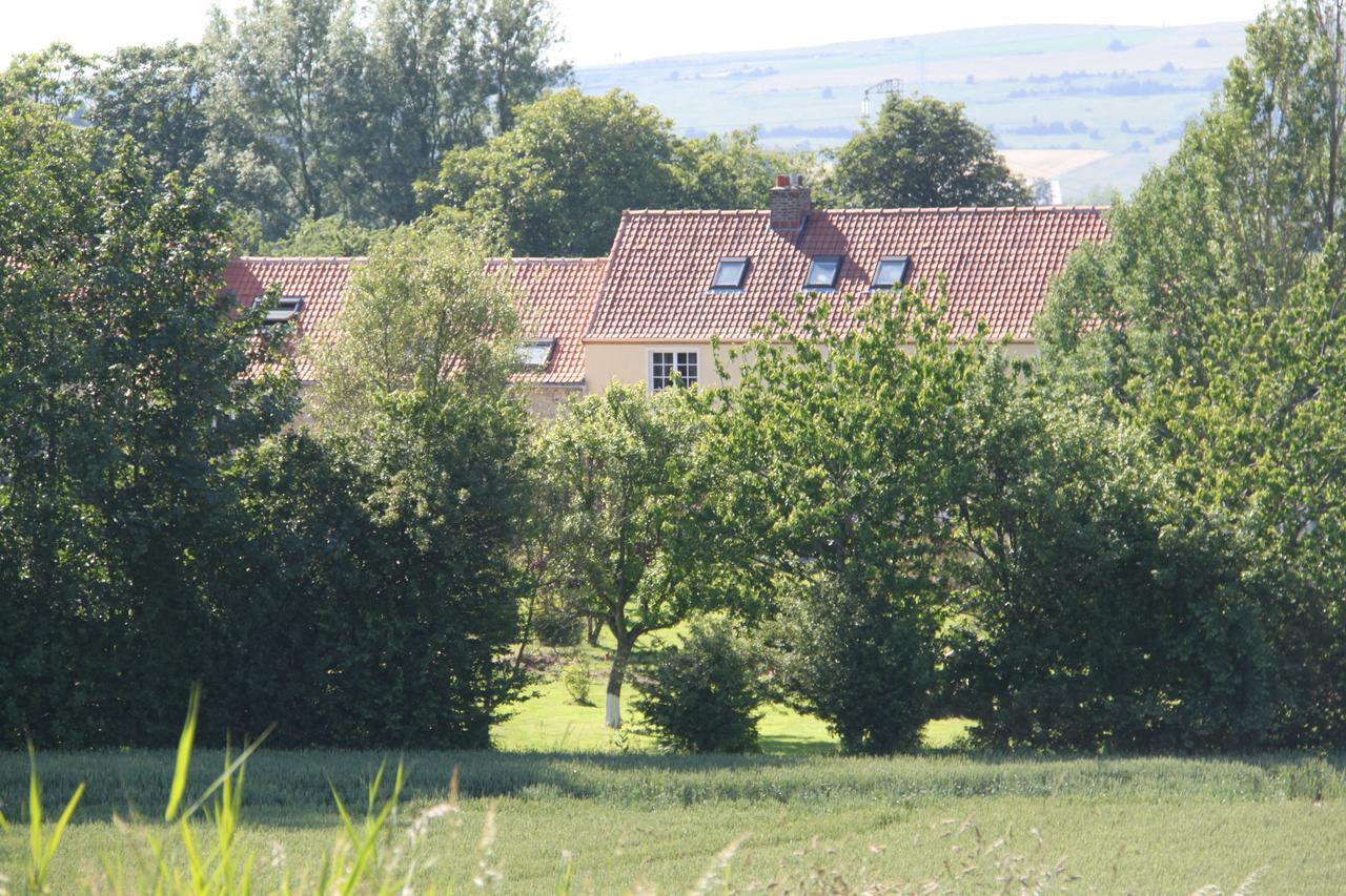 Le clos de Tournes Echinghen Exterior foto