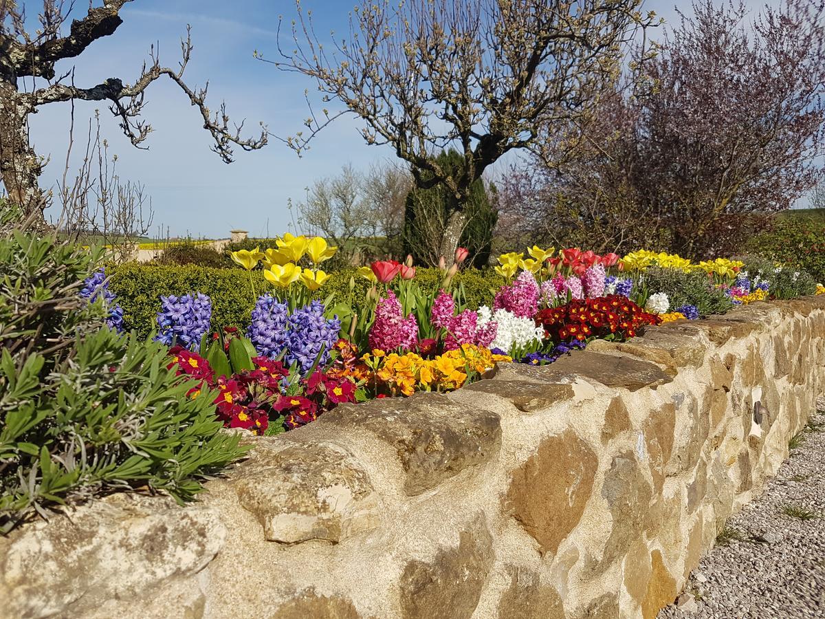 Le clos de Tournes Echinghen Exterior foto